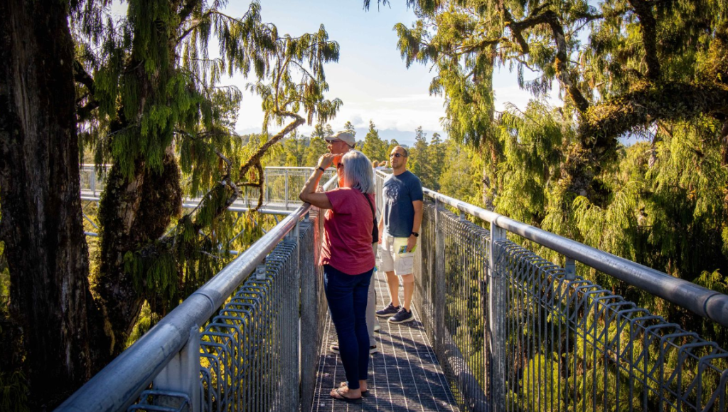 West Coast Tree Top Walk