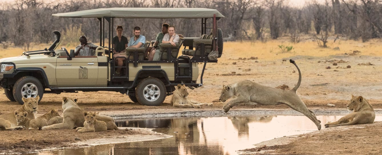 African Safari Specialist