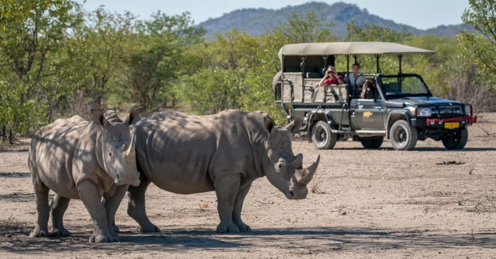 African Safari Specialist