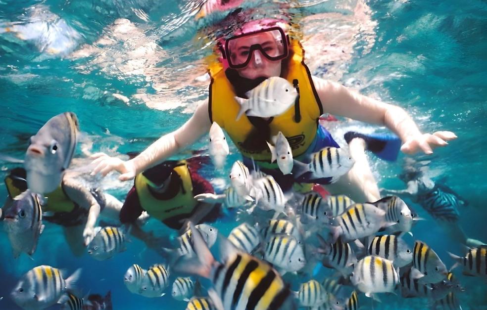 snorkeling sites
